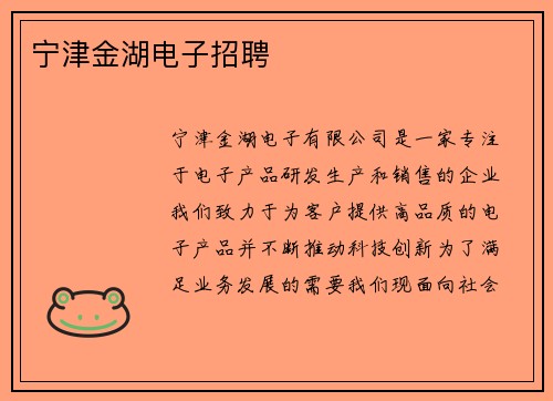 宁津金湖电子招聘